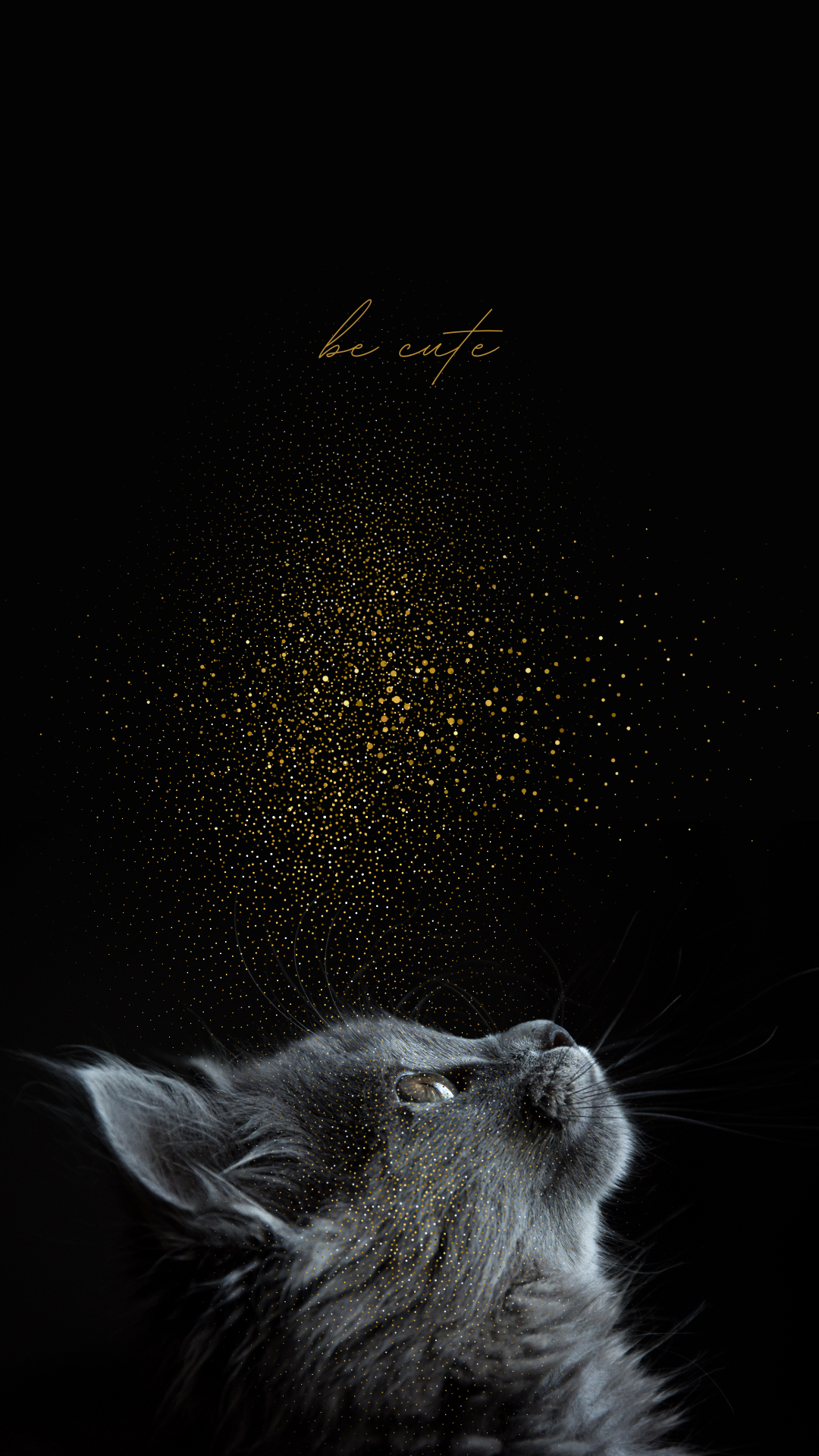 감성적인 아이폰 배경화면 고화질 사진 추천 이미지