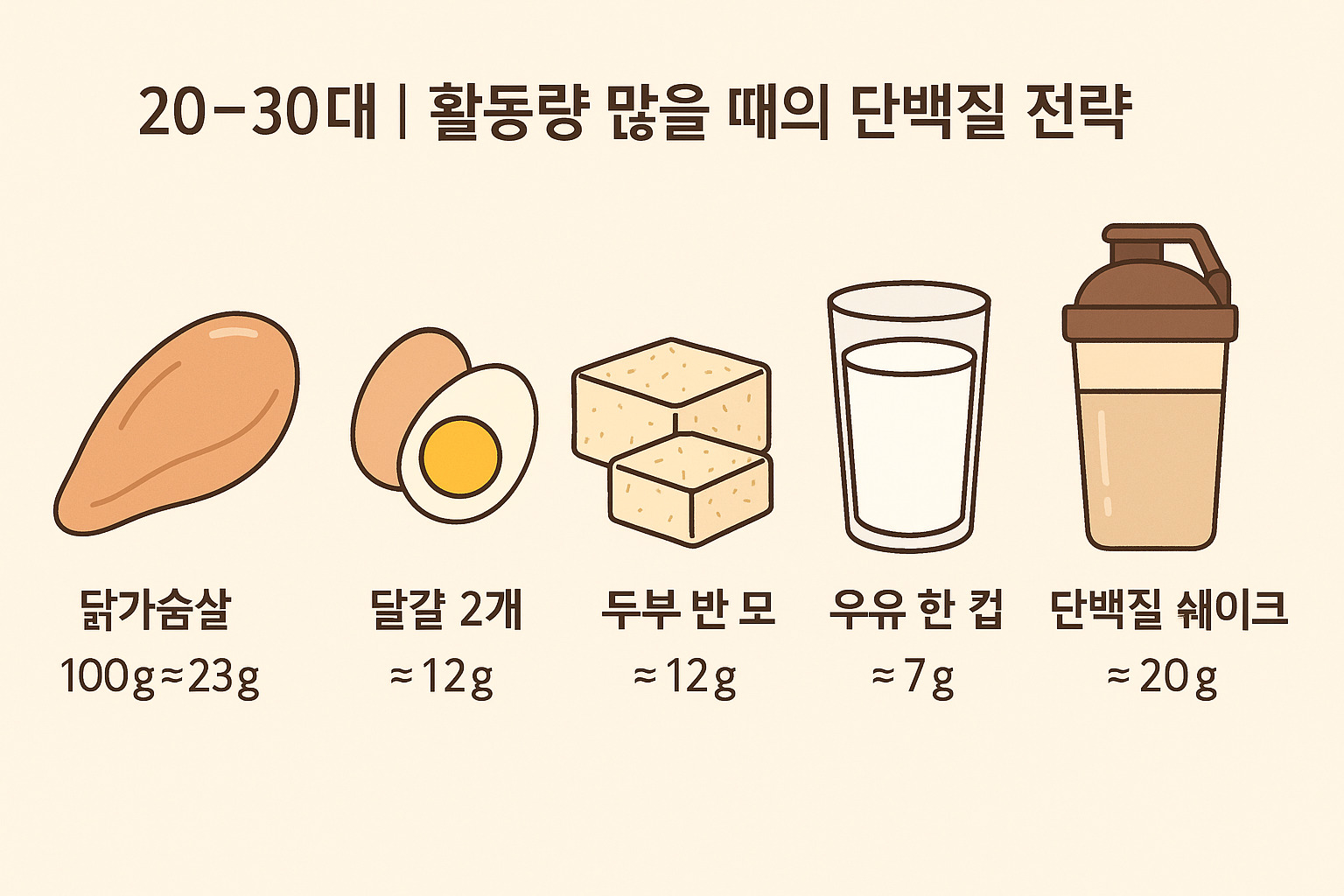20~30대｜활동량 많을 때의 단백질 전략