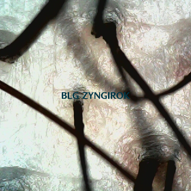 탈모 극복 프로젝트 - 뒷머리 두피 모습이다.