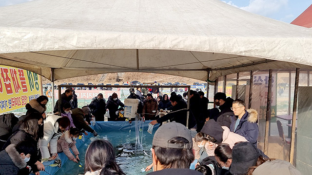 빙어축제 청평 빙어송어축제 맛집 꿀팁 청하가든막국수 청평우대갈비 도선재 화가장 해낙전 가평청평본점 드림닭갈비