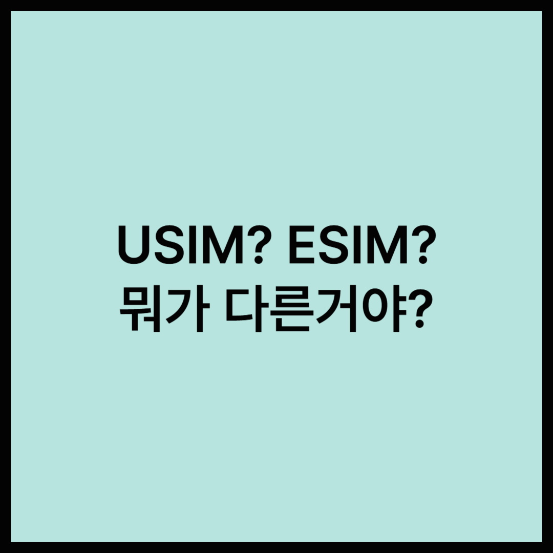 ESIM과 USIM, 다른 걸까?