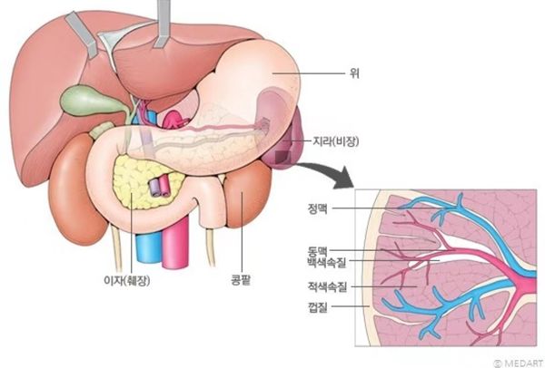 비장이란