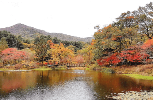 국립수목원