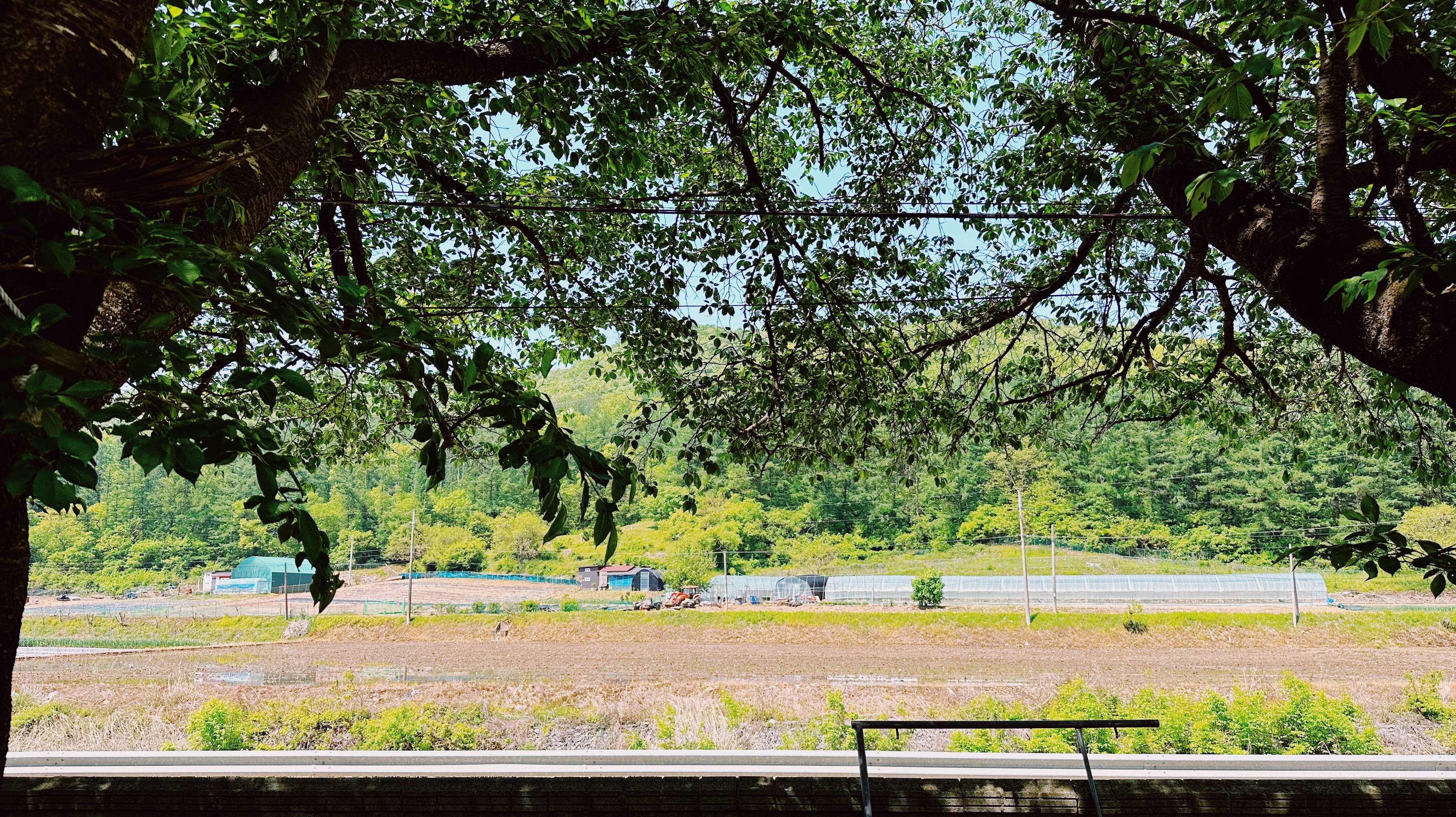 문강도예학습원