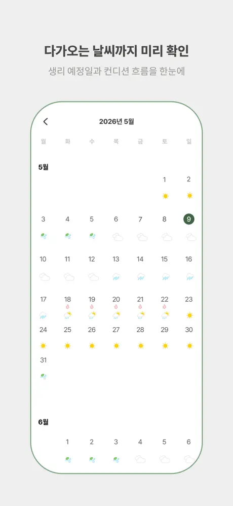 코코룸 살펴보기 7