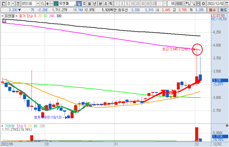 유엔젤 일봉 차트