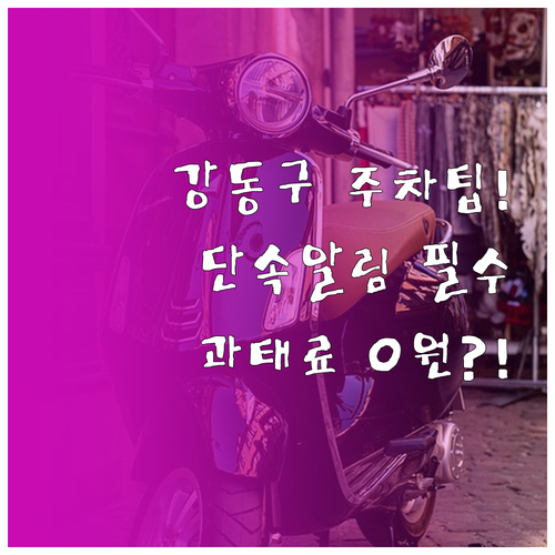 강동구 주정차 단속 알림 서비스 신청..