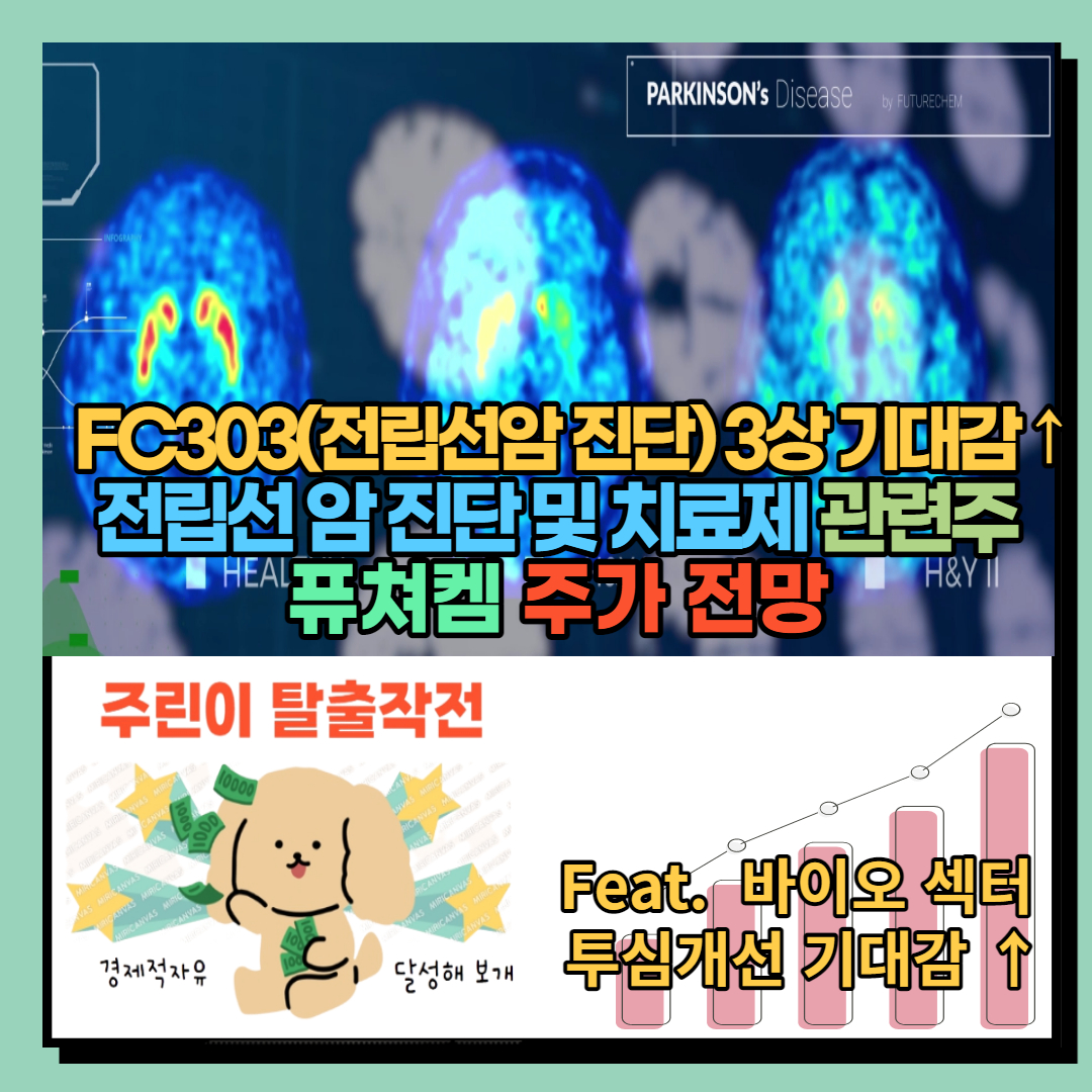 차트충의 주린이탈출작전