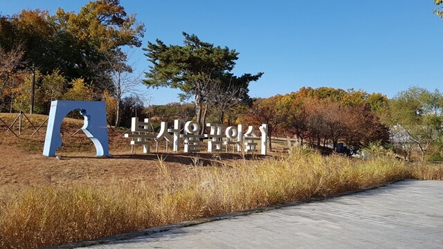 반려견과 가기 좋은 서울 가을 산책 코스