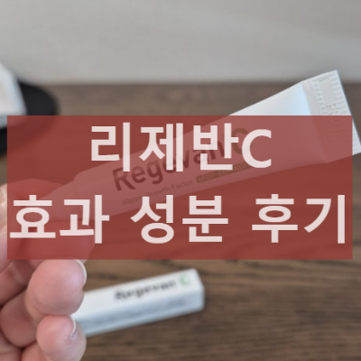 리제반C
