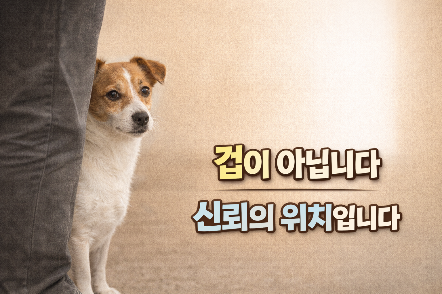 강아지가 보호자 뒤에 서는 행동의 심리 / 의존이 아니라, 상황을 읽고 있다는 신호입니다