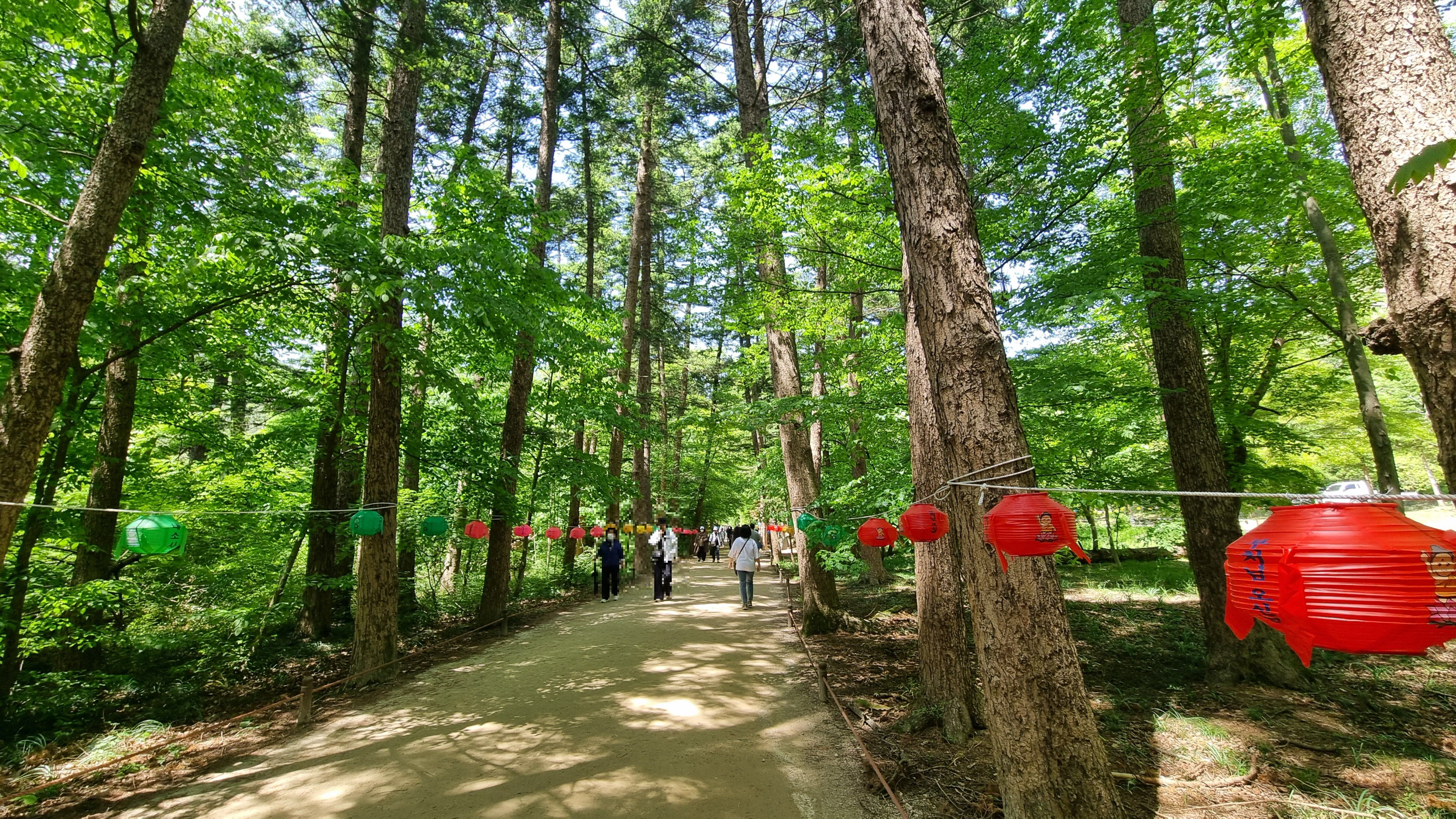 내소사전나무숲길