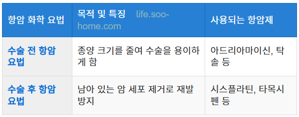 항암 화학 요법