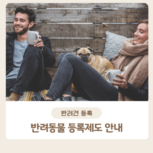 반려견 등록제도