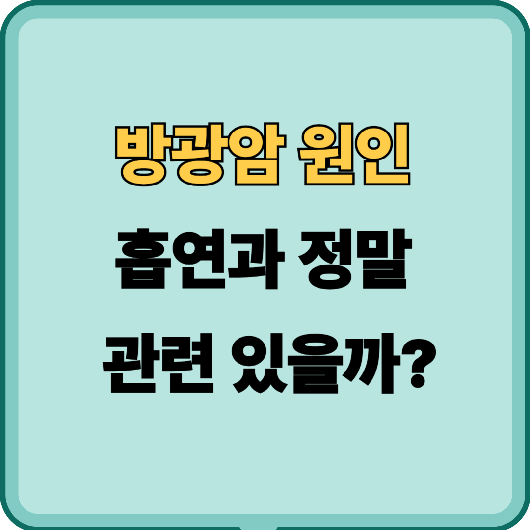 흡연과 방광암, 정말 관련이 있을까?