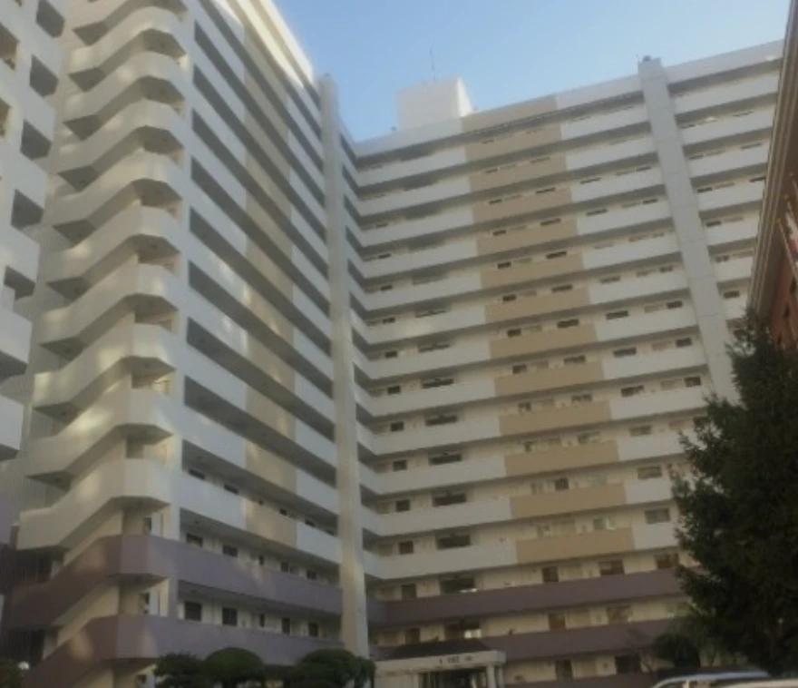 부동산 시장 전망