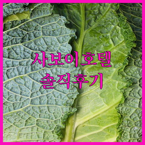 사보이 호텔 마닐라 솔직 후기 조식,