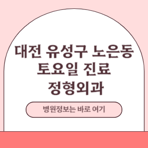 대전 유성구 노은동 토요일 정형외과 진료 병원