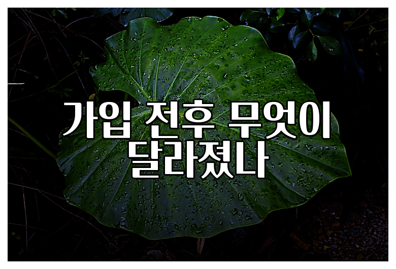 가입 전후 무엇이 달라졌나