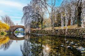 3월 국내 여행지 추천