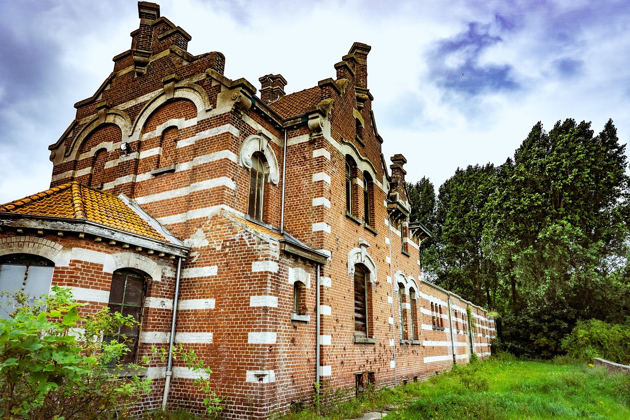 실손의료보험 기본 구조 사진