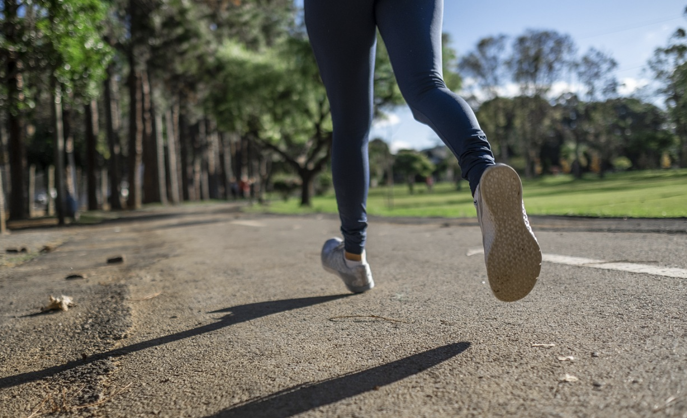 규칙적인 운동 실천