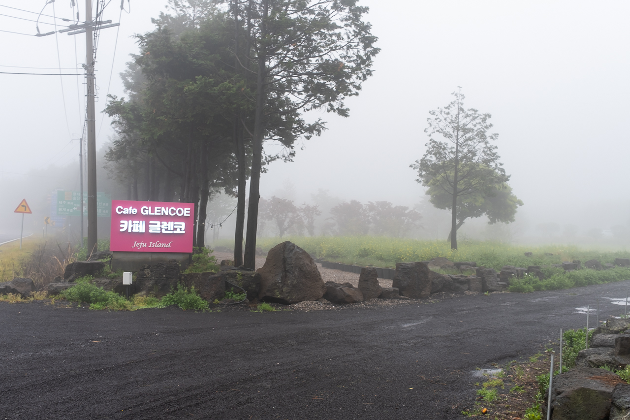 우연한 기회에 지나게 된 제주의 카페 글렌코(Cafe GLENCOE)
