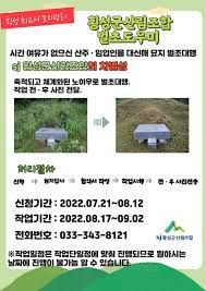 벌초대행 가격비교