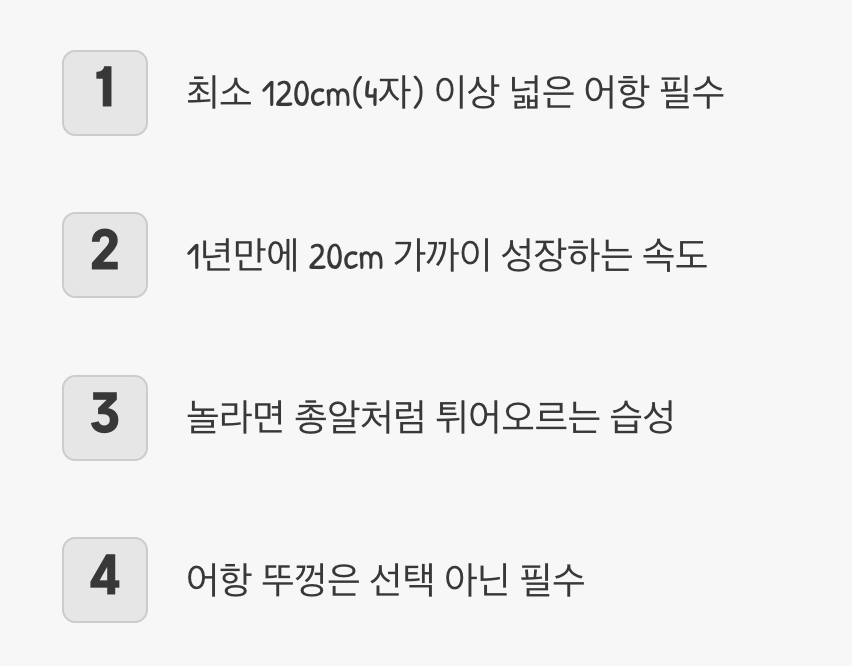 먹이 - 가리지 않는 &amp;#39;튼튼한 식성&amp;#39;