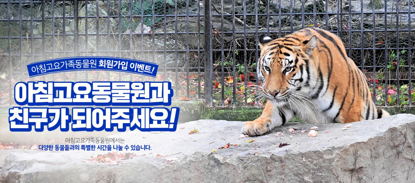 아침 고요 동물원 안내