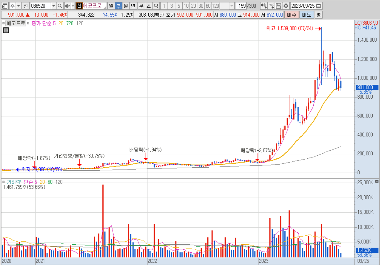 에코프로, 주린이의 주가 분석, 에코프로 주봉차트