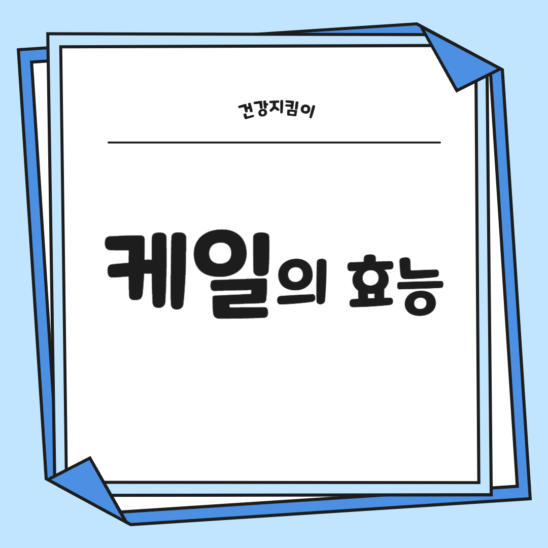 케일 효능과 부작용 고르는법 칼로리