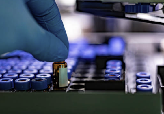 Internal Standard 선택 전략 &ndash; Stable Isotope Labeling의 활용과 한계