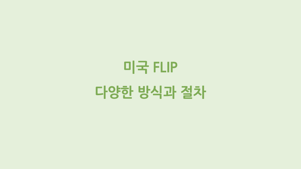 미국 FLIP 다양한 방식과 절차