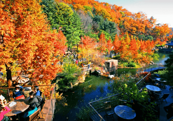 곤지암 화담숲 예약 취소하기