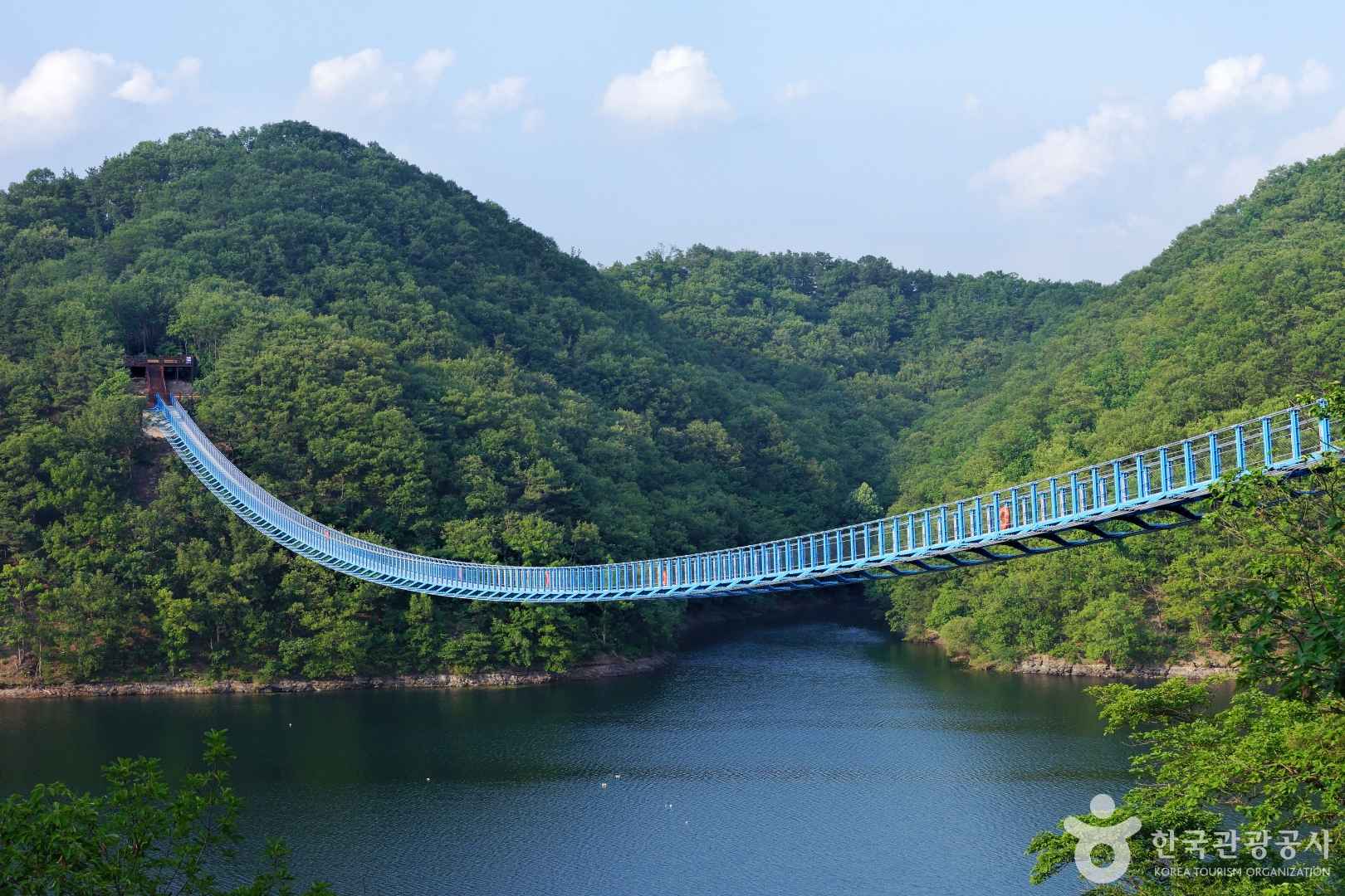 초평호 미르309 출렁다리