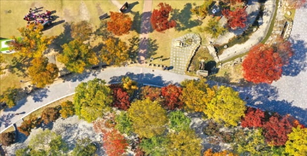 전라도 가을 여행지 추천 : 단풍으로 물든 힐링 코스 10선 (2025 최신판)