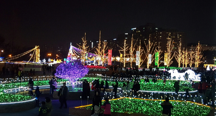 고양호수꽃빛축제
