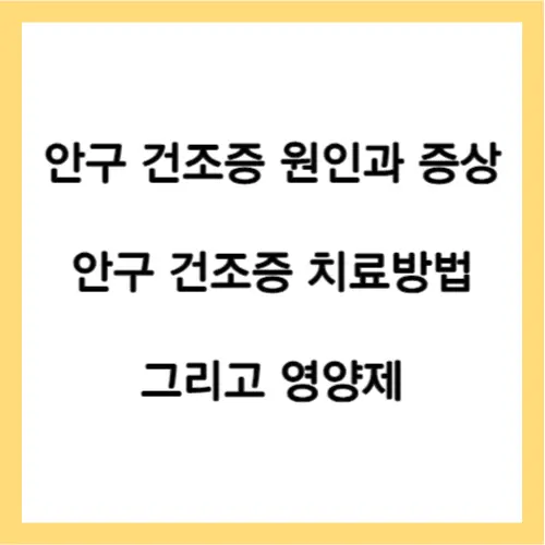 안구 건조증 증상