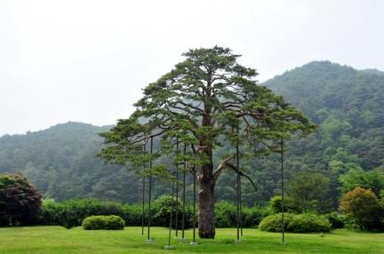보은 가볼만한곳 베스트10