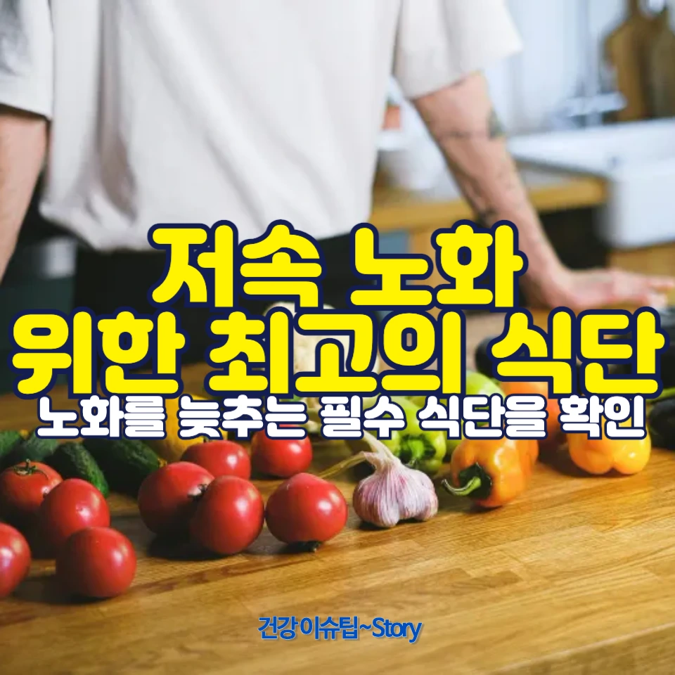 저속 노화 식단