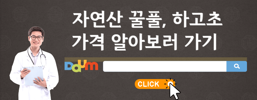 하고초