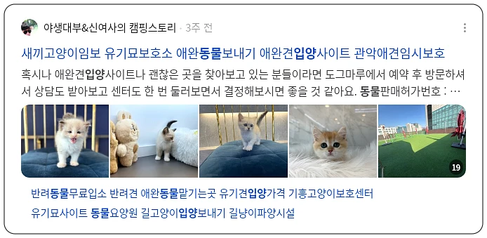 동물 입양_3_subsection