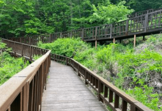 국립산림치유원 예약, 할인, 환불