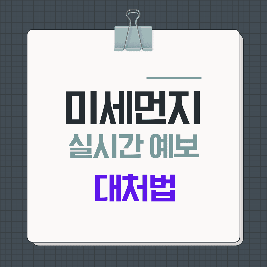 미세먼지 실시간 예보 및 대처법