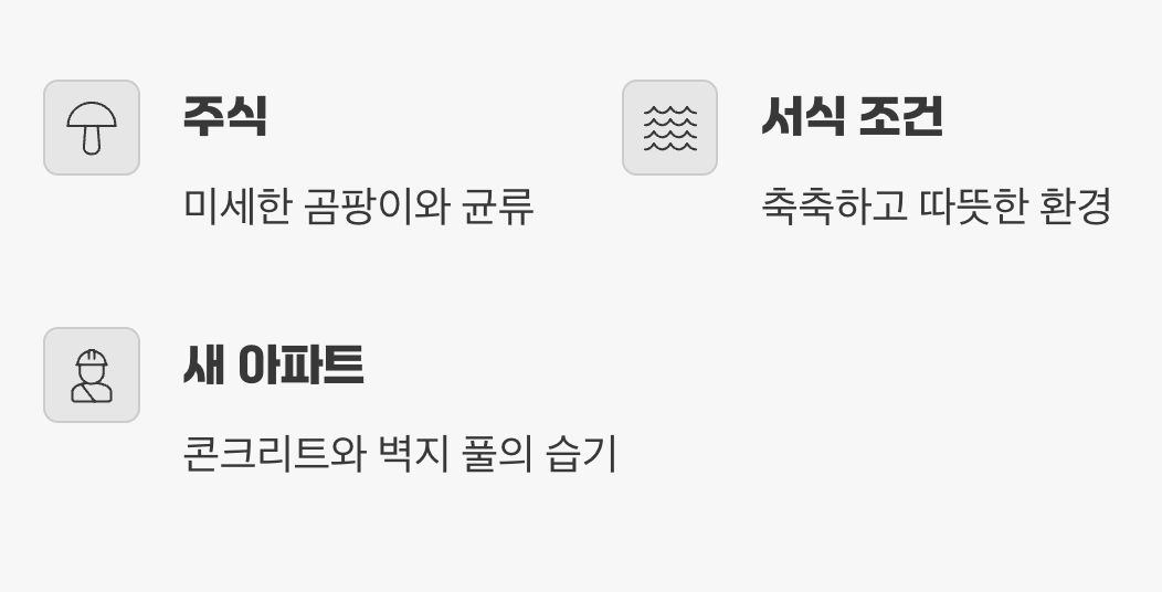 녀석들이 사랑하는 단 한 가지, '습기와 곰팡이'