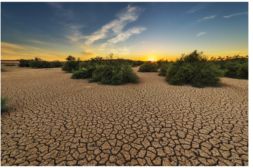 근위축증(Muscular Atrophy): 근육 소실과 기능 저하 완전 가이드