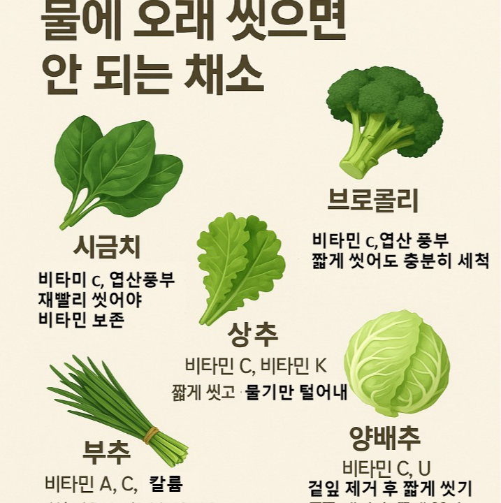 물에 오래 씻으면 안되는 채소 5가지