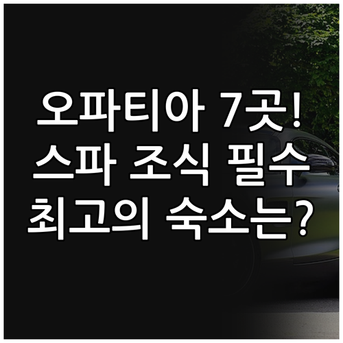 리예카 오파티아 베스트 호텔 7곳 힐..