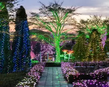 퍼스트가든 별빛축제_5